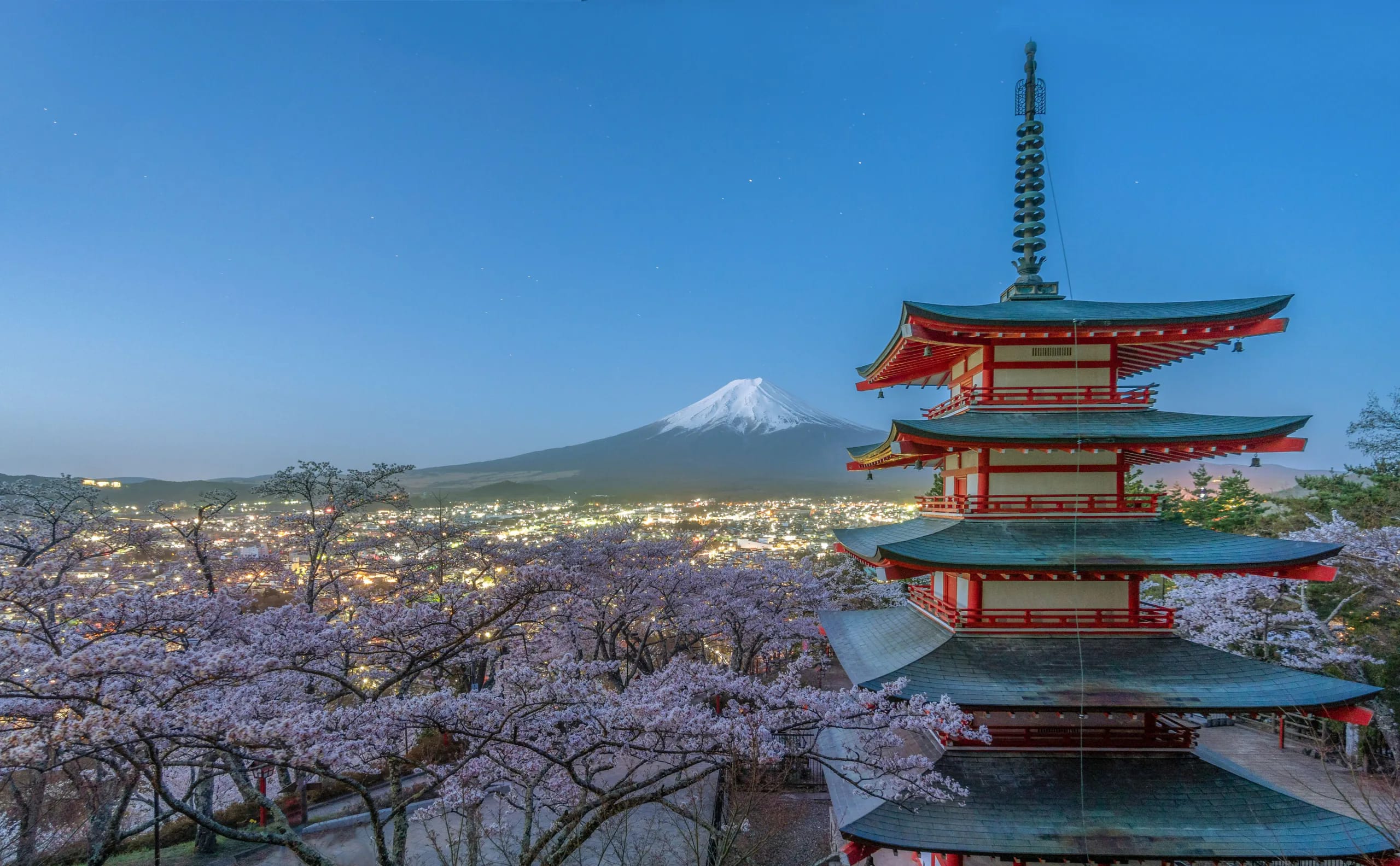 Chureito Pagoda above cherry blossom at dusk, with Mount Fuji behind the city lights